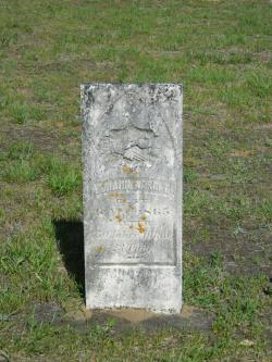 Johann Warnke