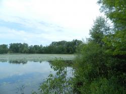 Pleasant Lake Michigan